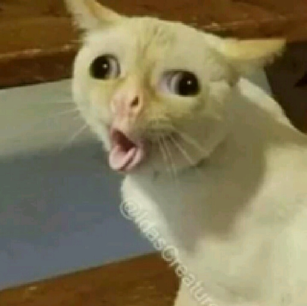 Meet your Posher, Aubree